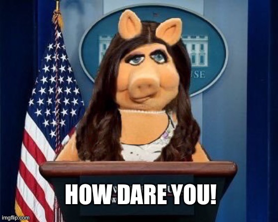 Piggy Sanders | HOW DARE YOU! | image tagged in piggy sanders | made w/ Imgflip meme maker