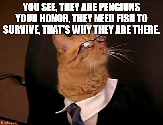 Lawyer cat | YOU SEE, THEY ARE PENGIUNS YOUR HONOR, THEY NEED FISH TO SURVIVE, THAT'S WHY THEY ARE THERE. | image tagged in lawyer cat | made w/ Imgflip meme maker