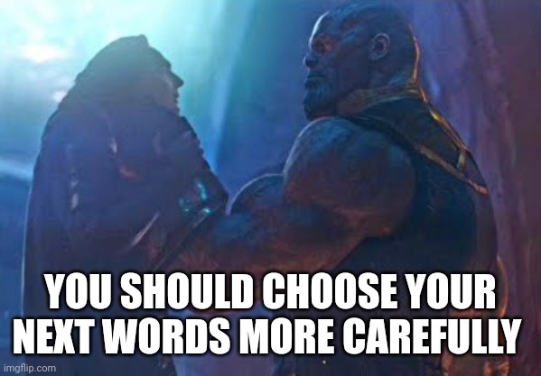 You should choose your words more carefully | YOU SHOULD CHOOSE YOUR NEXT WORDS MORE CAREFULLY | image tagged in you should choose your words more carefully | made w/ Imgflip meme maker