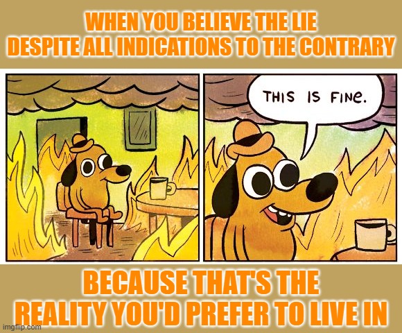 Gaslight enough and eventually you catch yourself on fire. | WHEN YOU BELIEVE THE LIE DESPITE ALL INDICATIONS TO THE CONTRARY; BECAUSE THAT'S THE REALITY YOU'D PREFER TO LIVE IN | image tagged in memes,this is fine | made w/ Imgflip meme maker