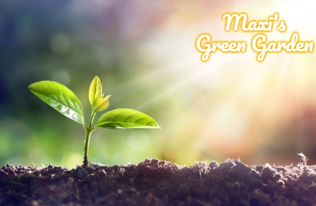grow | Maxi's Green Garden | image tagged in grow,slavic,maxi's green garden,maxis green garden | made w/ Imgflip meme maker