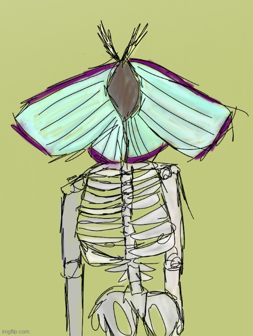another sketch of moth skelly (digital) | image tagged in drawing | made w/ Imgflip meme maker