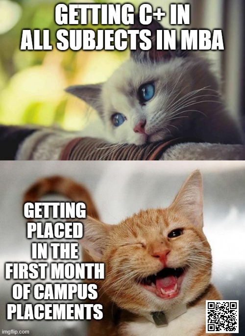 my mba education in a nutshell | GETTING C+ IN ALL SUBJECTS IN MBA; GETTING PLACED IN THE FIRST MONTH OF CAMPUS PLACEMENTS | image tagged in sad happy cat,mba,college,placements,studying,students | made w/ Imgflip meme maker