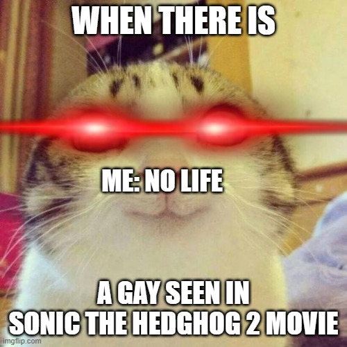 Smiling Cat Meme | WHEN THERE IS; ME: NO LIFE; A GAY SEEN IN SONIC THE HEDGHOG 2 MOVIE | image tagged in memes,smiling cat | made w/ Imgflip meme maker