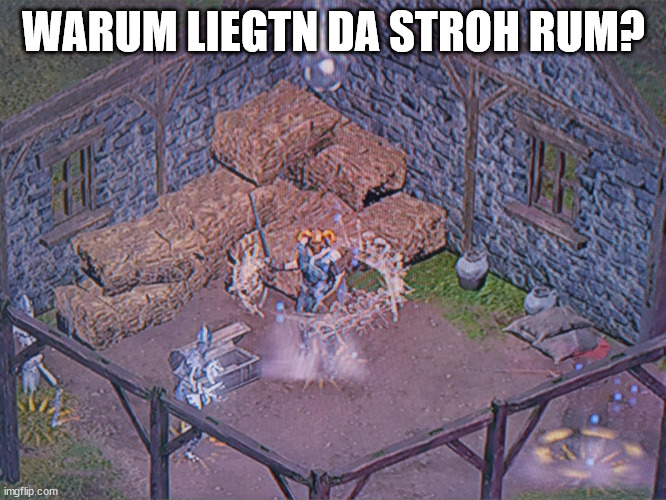 Warum liegtn da Stroh rum? | WARUM LIEGTN DA STROH RUM? | image tagged in d 2 r,necromancer,movie clip reference,straw | made w/ Imgflip meme maker