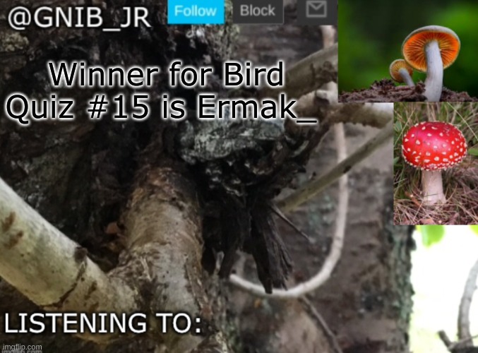 Good job | Winner for Bird Quiz #15 is Ermak_ | image tagged in gnib_jr's new temp | made w/ Imgflip meme maker