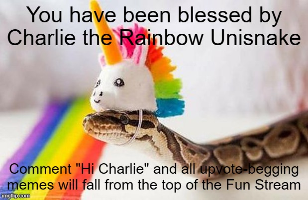 Charlie doesn't like to talk about people using his fellow hat-wearing snakes to beg for upvotes. | You have been blessed by Charlie the Rainbow Unisnake; Comment "Hi Charlie" and all upvote-begging memes will fall from the top of the Fun Stream | image tagged in snake with unicorn hat | made w/ Imgflip meme maker