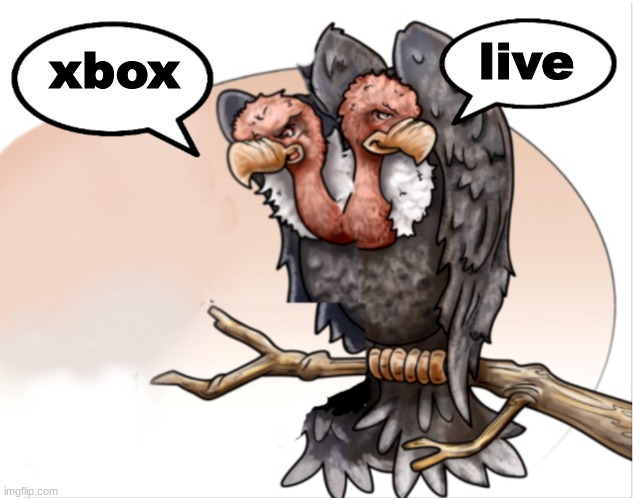 Double Vulture speech bubbles | live; xbox | image tagged in double vulture speech bubbles | made w/ Imgflip meme maker