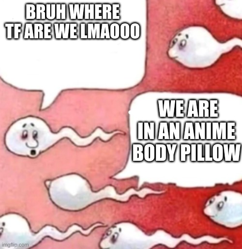 hehehehaw | BRUH WHERE TF ARE WE LMAOOO; WE ARE IN AN ANIME BODY PILLOW | image tagged in sperm conversation | made w/ Imgflip meme maker