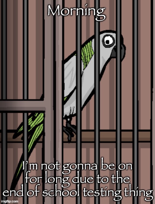 Bird on crack | Morning; I’m not gonna be on for long due to the end of school testing thing | image tagged in bird on crack | made w/ Imgflip meme maker