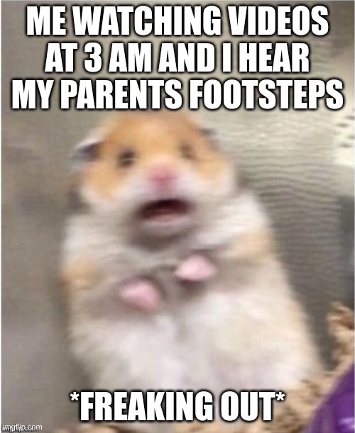 True | ME WATCHING VIDEOS AT 3 AM AND I HEAR MY PARENTS FOOTSTEPS; *FREAKING OUT* | image tagged in scared hamster | made w/ Imgflip meme maker
