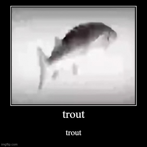 trout | image tagged in funny,demotivationals | made w/ Imgflip demotivational maker