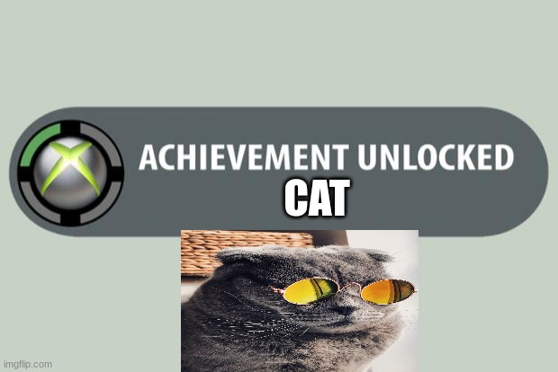 achievement unlocked | CAT | image tagged in achievement unlocked | made w/ Imgflip meme maker