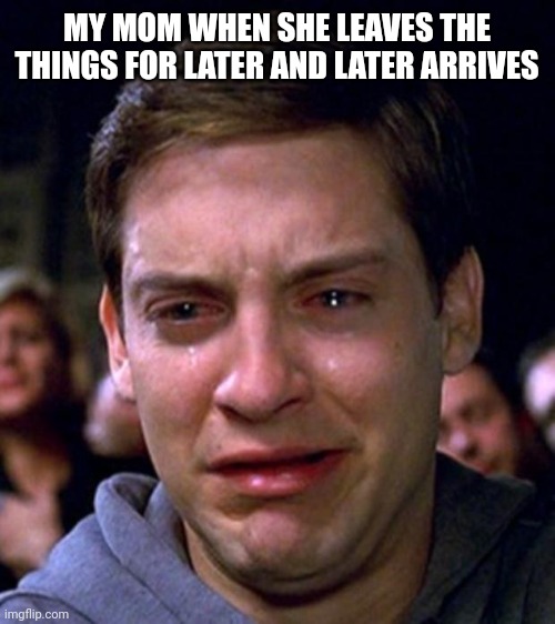 Later | MY MOM WHEN SHE LEAVES THE THINGS FOR LATER AND LATER ARRIVES | image tagged in crying peter parker,memes,mom,funny,peter parker cry | made w/ Imgflip meme maker