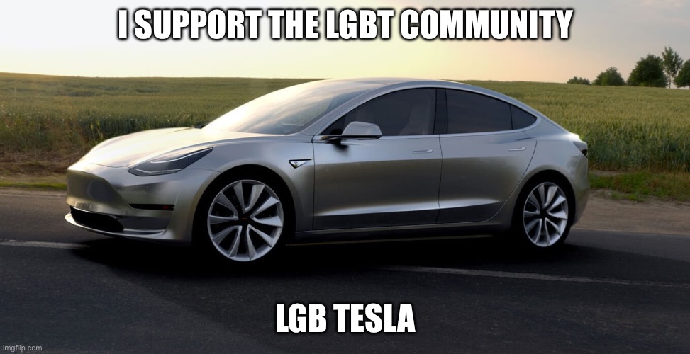 tesla | I SUPPORT THE LGBT COMMUNITY; LGB TESLA | image tagged in tesla | made w/ Imgflip meme maker