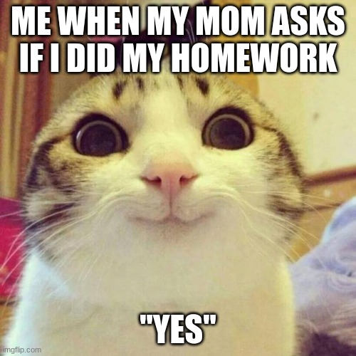 Smiling Cat | ME WHEN MY MOM ASKS IF I DID MY HOMEWORK; "YES" | image tagged in memes,smiling cat | made w/ Imgflip meme maker