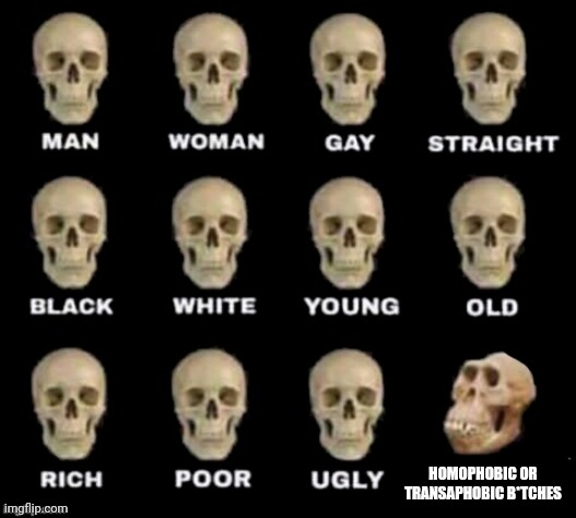 You are homophobic is bad | HOMOPHOBIC OR TRANSAPHOBIC B*TCHES | image tagged in idiot skull | made w/ Imgflip meme maker
