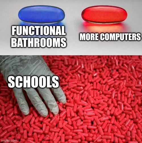 Blue or red pill | FUNCTIONAL BATHROOMS; MORE COMPUTERS; SCHOOLS | image tagged in blue or red pill | made w/ Imgflip meme maker