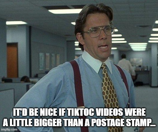 tiktoc stamp | IT'D BE NICE IF TIKTOC VIDEOS WERE A LITTLE BIGGER THAN A POSTAGE STAMP... | image tagged in yeah if you could | made w/ Imgflip meme maker