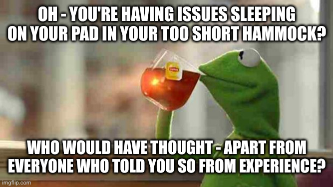 Kermit sipping tea | OH - YOU'RE HAVING ISSUES SLEEPING ON YOUR PAD IN YOUR TOO SHORT HAMMOCK? WHO WOULD HAVE THOUGHT - APART FROM EVERYONE WHO TOLD YOU SO FROM EXPERIENCE? | image tagged in kermit sipping tea | made w/ Imgflip meme maker