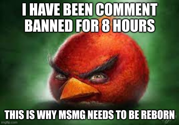 Realistic Red Angry Birds | I HAVE BEEN COMMENT BANNED FOR 8 HOURS; THIS IS WHY MSMG NEEDS TO BE REBORN | image tagged in realistic red angry birds | made w/ Imgflip meme maker