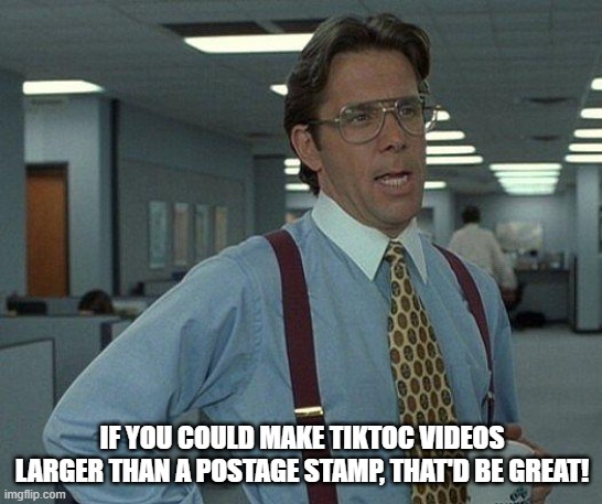 tiktoc postage stamp | IF YOU COULD MAKE TIKTOC VIDEOS LARGER THAN A POSTAGE STAMP, THAT'D BE GREAT! | image tagged in yeah if you could | made w/ Imgflip meme maker