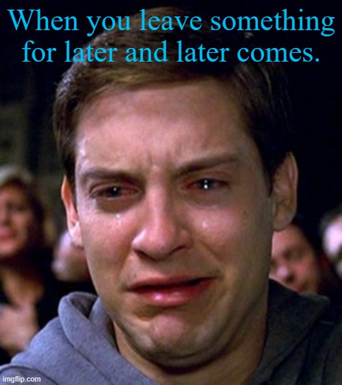 Really though | When you leave something for later and later comes. | image tagged in crying peter parker | made w/ Imgflip meme maker