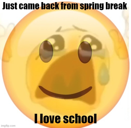 Teehee | Just came back from spring break; I love school | image tagged in happy emoji on the outside but crying on the inside | made w/ Imgflip meme maker