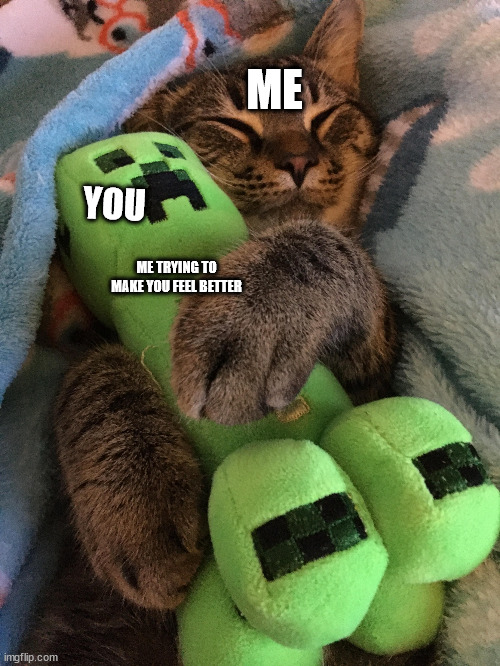 have a good life :) | ME; YOU; ME TRYING TO MAKE YOU FEEL BETTER | image tagged in cat hugging creeper | made w/ Imgflip meme maker