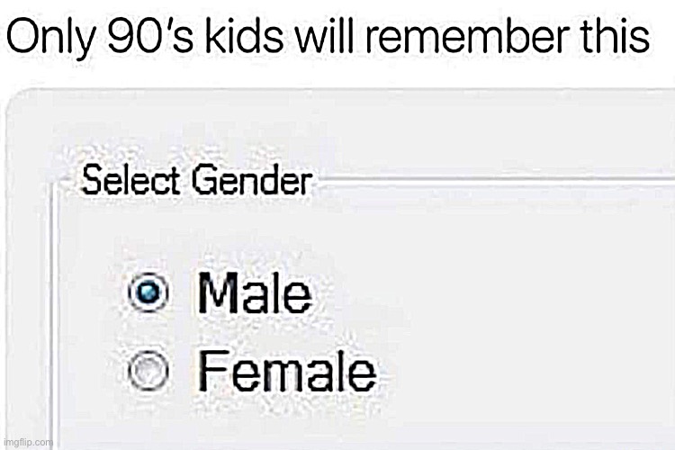 Only 90’s kids will remember | image tagged in bruh,lol,funny,why are you reading this | made w/ Imgflip meme maker