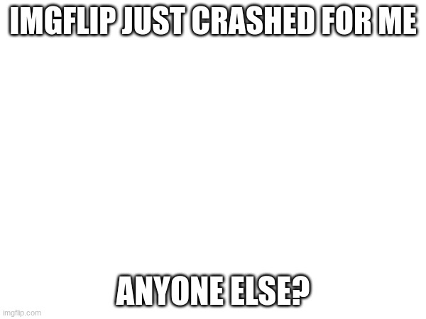 IMGFLIP JUST CRASHED FOR ME; ANYONE ELSE? | made w/ Imgflip meme maker