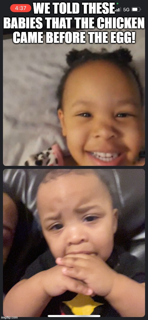 The Reaction | WE TOLD THESE BABIES THAT THE CHICKEN CAME BEFORE THE EGG! | image tagged in funny,chicken,cute,eggs,babies,riddle | made w/ Imgflip meme maker