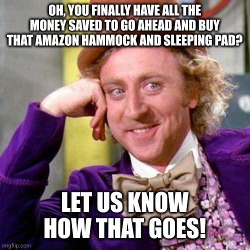 Willy Wonka Blank | OH, YOU FINALLY HAVE ALL THE MONEY SAVED TO GO AHEAD AND BUY THAT AMAZON HAMMOCK AND SLEEPING PAD? LET US KNOW HOW THAT GOES! | image tagged in willy wonka blank | made w/ Imgflip meme maker