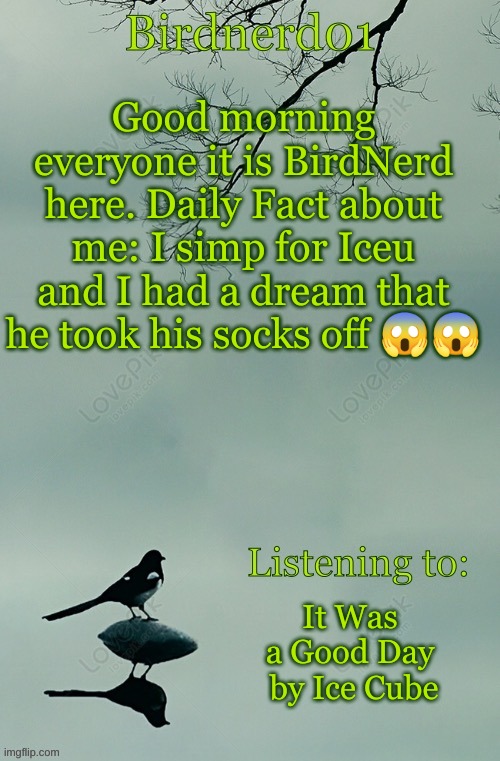 real | Good morning everyone it is BirdNerd here. Daily Fact about me: I simp for Iceu and I had a dream that he took his socks off 😱😱; It Was a Good Day
 by Ice Cube | image tagged in birdnerd01 announcement template | made w/ Imgflip meme maker