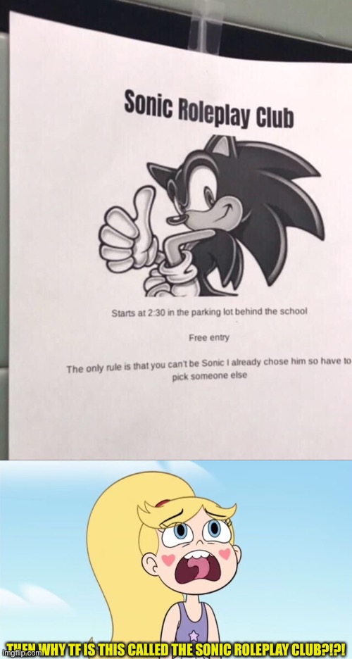 What the f— | THEN WHY TF IS THIS CALLED THE SONIC ROLEPLAY CLUB?!?! | image tagged in star butterfly,sonic the hedgehog,stupid signs,star vs the forces of evil,memes,signs | made w/ Imgflip meme maker