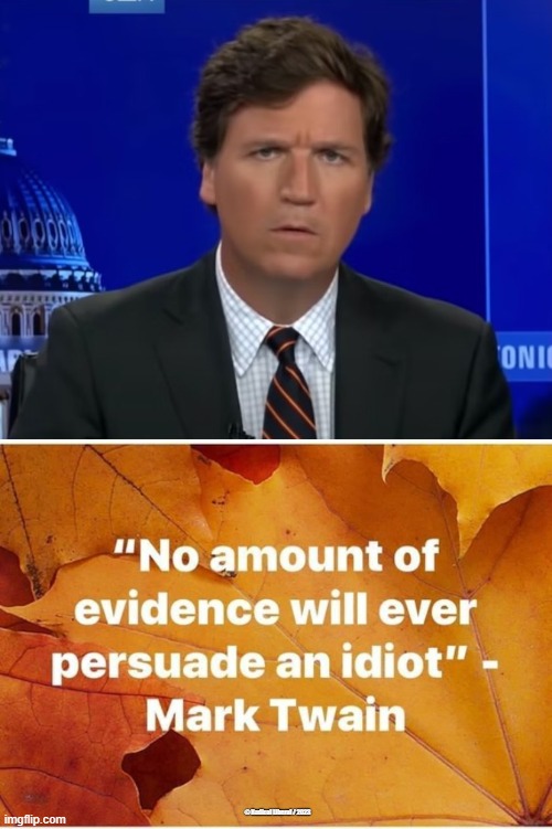 IDIOT | © Radical Liberal / 2023 | image tagged in idiot,tucker carlson,fox news,traitor,liar | made w/ Imgflip meme maker