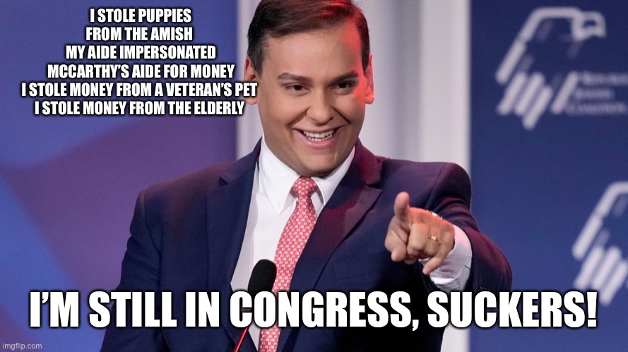 George Santos smile | I STOLE PUPPIES FROM THE AMISH 
MY AIDE IMPERSONATED MCCARTHY’S AIDE FOR MONEY
I STOLE MONEY FROM A VETERAN’S PET 
I STOLE MONEY FROM THE ELDERLY; I’M STILL IN CONGRESS, SUCKERS! | image tagged in george santos smile | made w/ Imgflip meme maker