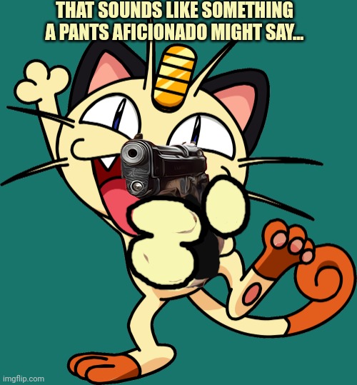 THAT SOUNDS LIKE SOMETHING A PANTS AFICIONADO MIGHT SAY... | made w/ Imgflip meme maker