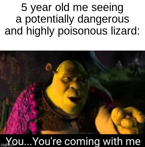 I made this in science and now i'm failing | 5 year old me seeing a potentially dangerous and highly poisonous lizard: | image tagged in worth it | made w/ Imgflip meme maker