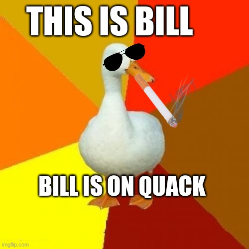 Meet Bill | THIS IS BILL; BILL IS ON QUACK | image tagged in memes,tech impaired duck | made w/ Imgflip meme maker