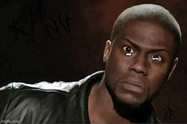 Kevin Hart Meme | WHAT; THE HELL | image tagged in memes,kevin hart | made w/ Imgflip meme maker