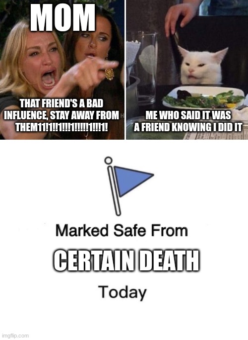 yall ever do that? test to see how bad she would beat ur ass if she knew what u did? | MOM; THAT FRIEND'S A BAD INFLUENCE, STAY AWAY FROM THEM11!1!!1!!!1!!!!!1!!!1! ME WHO SAID IT WAS A FRIEND KNOWING I DID IT; CERTAIN DEATH | image tagged in angry lady cat,memes,marked safe from | made w/ Imgflip meme maker