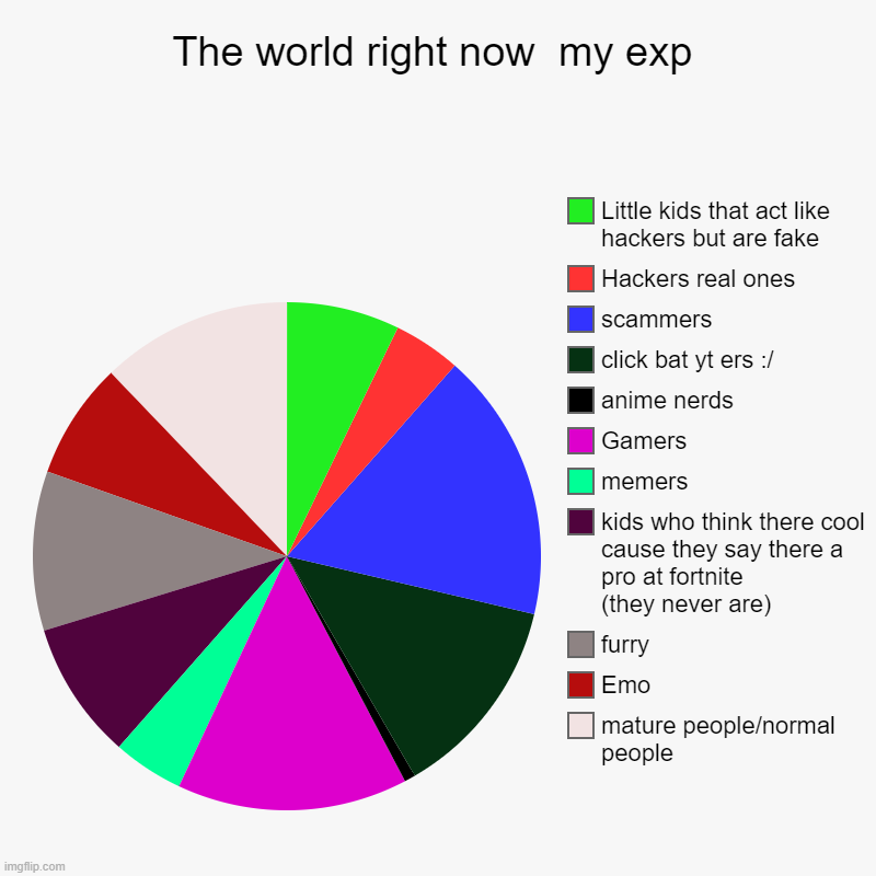 my exp of the world kinda | The world right now  my exp | mature people/normal people, Emo, furry, kids who think there cool cause they say there a pro at fortnite      | image tagged in charts,pie charts | made w/ Imgflip chart maker