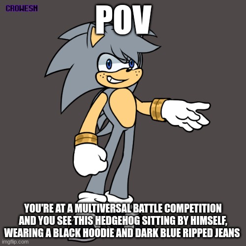 Battle RP|No OP ocs|Sonic OCs not needed|Any game or show character allowed | POV; YOU'RE AT A MULTIVERSAL BATTLE COMPETITION AND YOU SEE THIS HEDGEHOG SITTING BY HIMSELF, WEARING A BLACK HOODIE AND DARK BLUE RIPPED JEANS | image tagged in multiverse,fight,ignoring him will make the rp longer | made w/ Imgflip meme maker