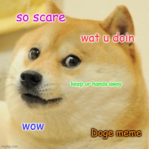Doge Meme | so scare; wat u doin; keep ur hands away; wow; Doge meme | image tagged in memes,doge | made w/ Imgflip meme maker