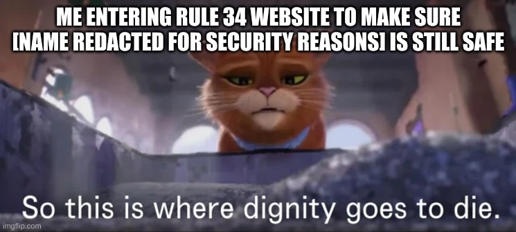 15 upvotes and I tell you who the true survivors are | ME ENTERING RULE 34 WEBSITE TO MAKE SURE [NAME REDACTED FOR SECURITY REASONS] IS STILL SAFE | image tagged in so this is where dignity goes to die | made w/ Imgflip meme maker