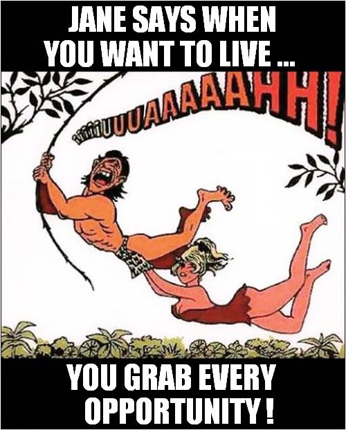 The 'Tarzan Yell' Explained ! | JANE SAYS WHEN YOU WANT TO LIVE ... YOU GRAB EVERY 
  OPPORTUNITY ! | image tagged in tarzan,grab,yell,dark humour | made w/ Imgflip meme maker