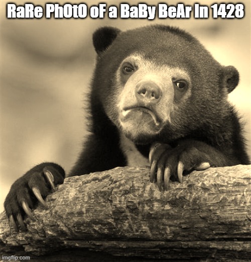 lol im bored in school | RaRe PhOtO oF a BaBy BeAr In 1428 | image tagged in meme,confession bear,have a nice day | made w/ Imgflip meme maker