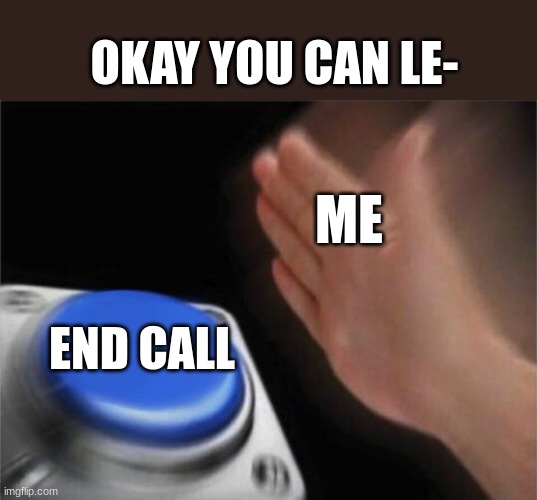 idk | OKAY YOU CAN LE-; ME; END CALL | image tagged in memes,blank nut button | made w/ Imgflip meme maker