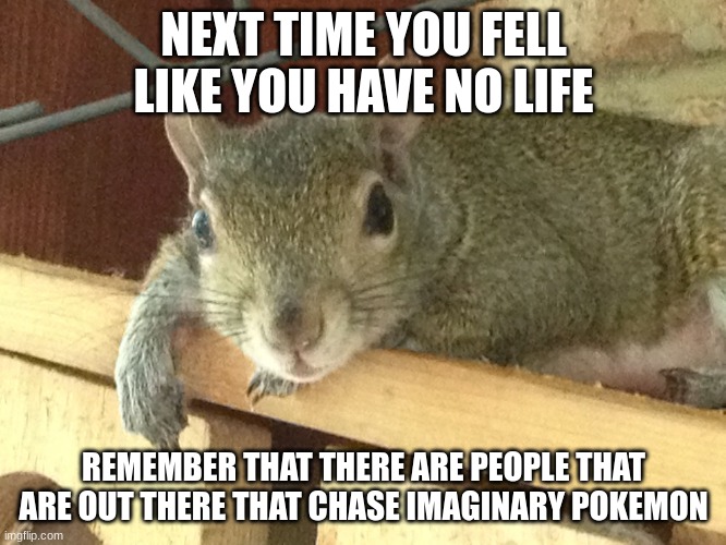 Squirrel Philosopher | NEXT TIME YOU FELL LIKE YOU HAVE NO LIFE; REMEMBER THAT THERE ARE PEOPLE THAT ARE OUT THERE THAT CHASE IMAGINARY POKEMON | image tagged in squirrel philosopher | made w/ Imgflip meme maker